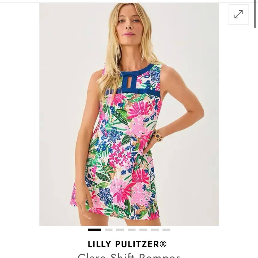 Lilly Pulitzer Colorful Floral Dress